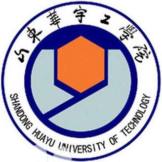 山东华宇工学院