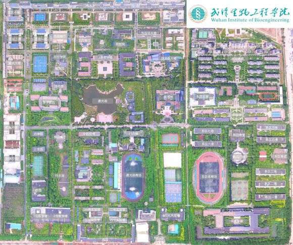 武汉生物工程学院消费怎么样?