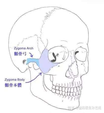 脸上骨骼感太重怎么办呢?