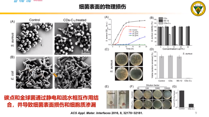 东南大学吴富根抗菌碳点讲座ppt碳点人