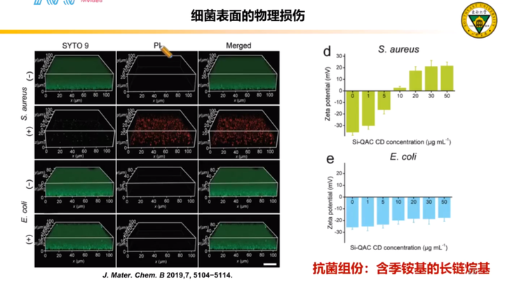 东南大学吴富根抗菌碳点讲座ppt碳点人