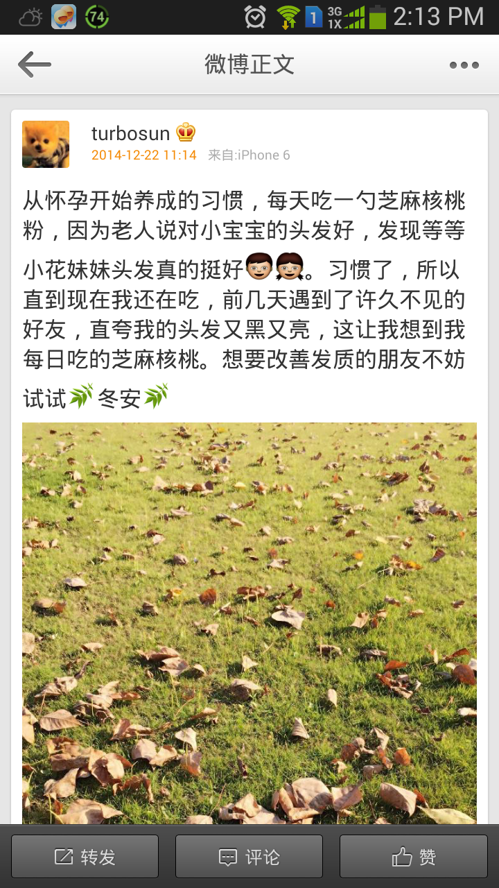 <em>怎么使头发变黑</em>? - 头发 - 知乎