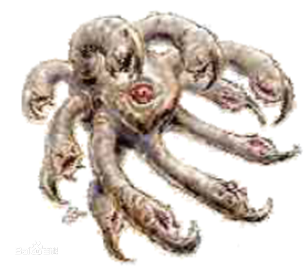 你见过(听说过)最恶心或者最恐怖的生物是什么?