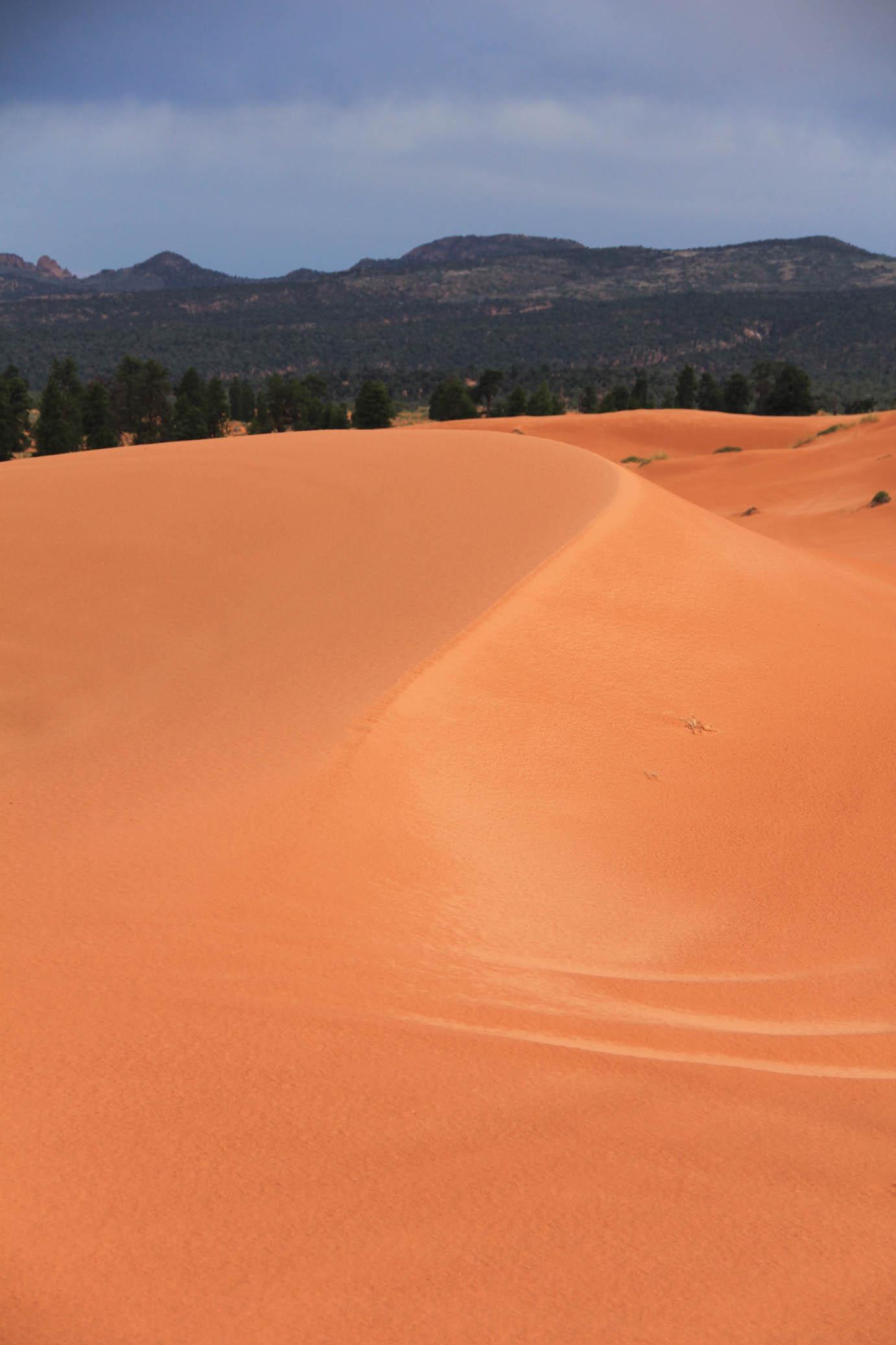 几月去美国旅游比较好?哪些地方值得推荐? - 徐