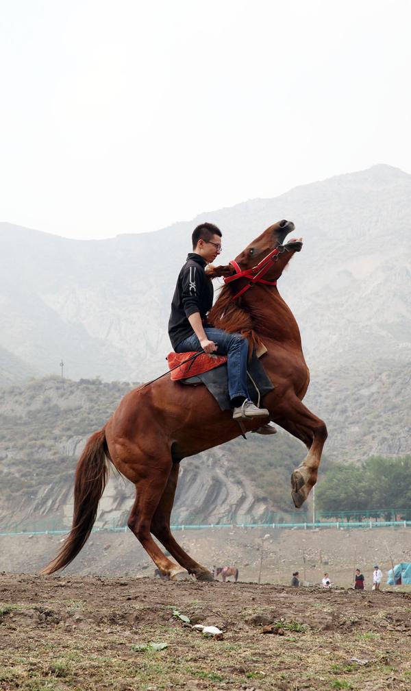 会骑马是一种怎样的体验?