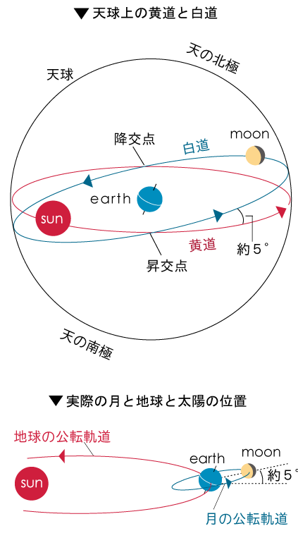 请问月球绕地轨道与地球公转轨道的相对位置?