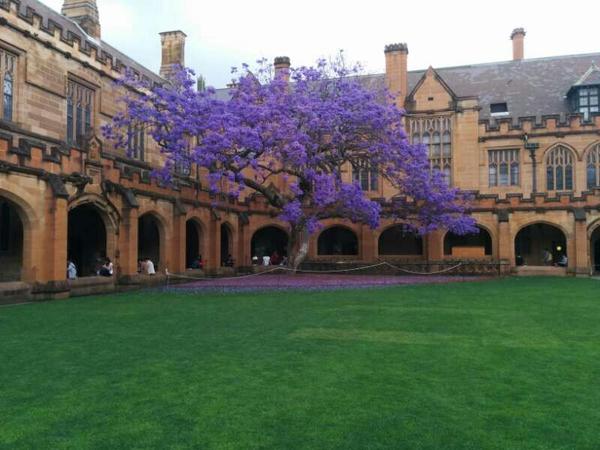 风月无情人暗换--黄药师 - 听天说地