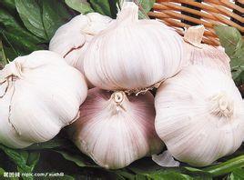 婆婆丁怎么吃最火 b1827830788e512212ab9b96f1fa57ec_b.jpg