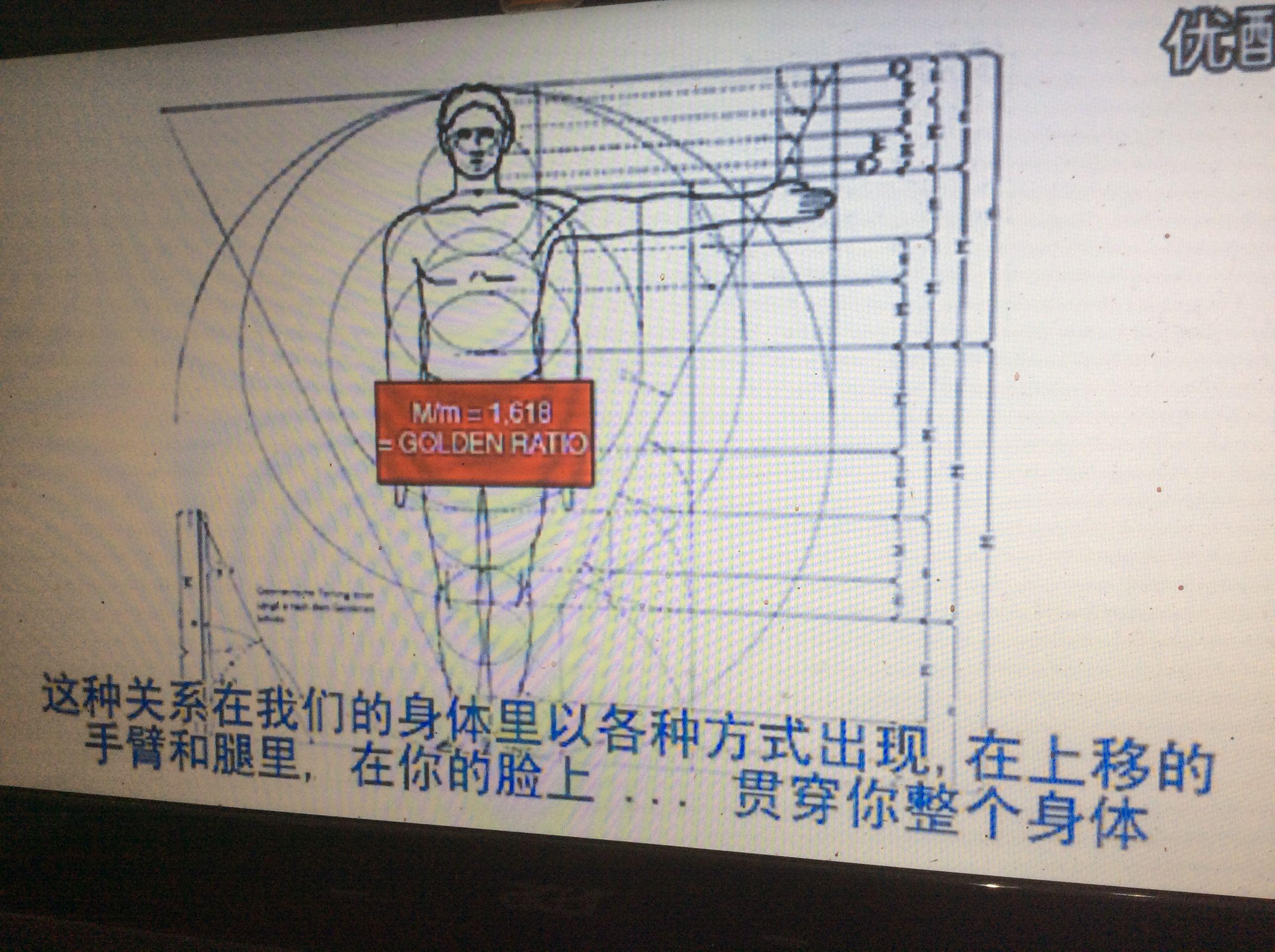 为什么按照黄金比例身材计算出来是685头身而不是8头身