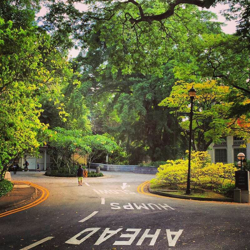 如果我来到你的城市,你将带我去哪玩? - 陈小木