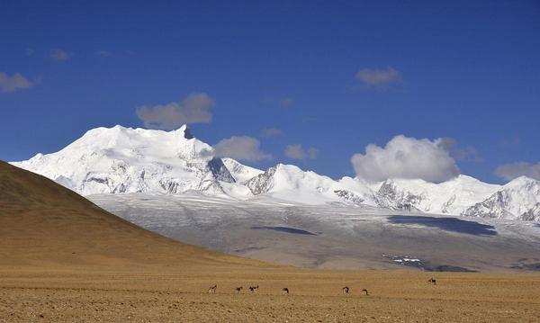 希夏邦马峰自然保护区:最靠近神山的地方