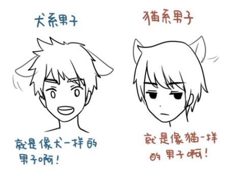 犬系男和猫系男的区别是什么