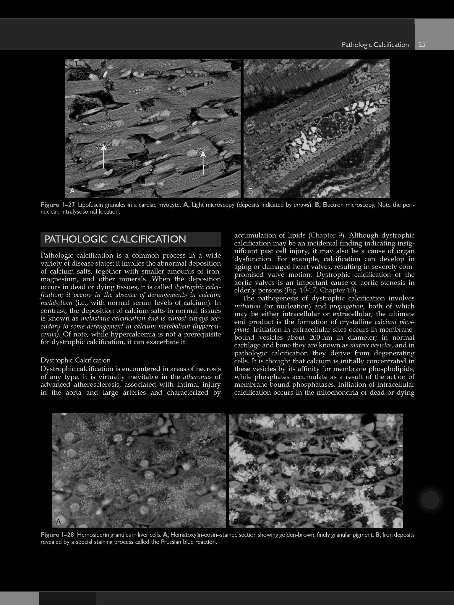 用ipad mini看pdf论文的体验如何? - 知乎用户的