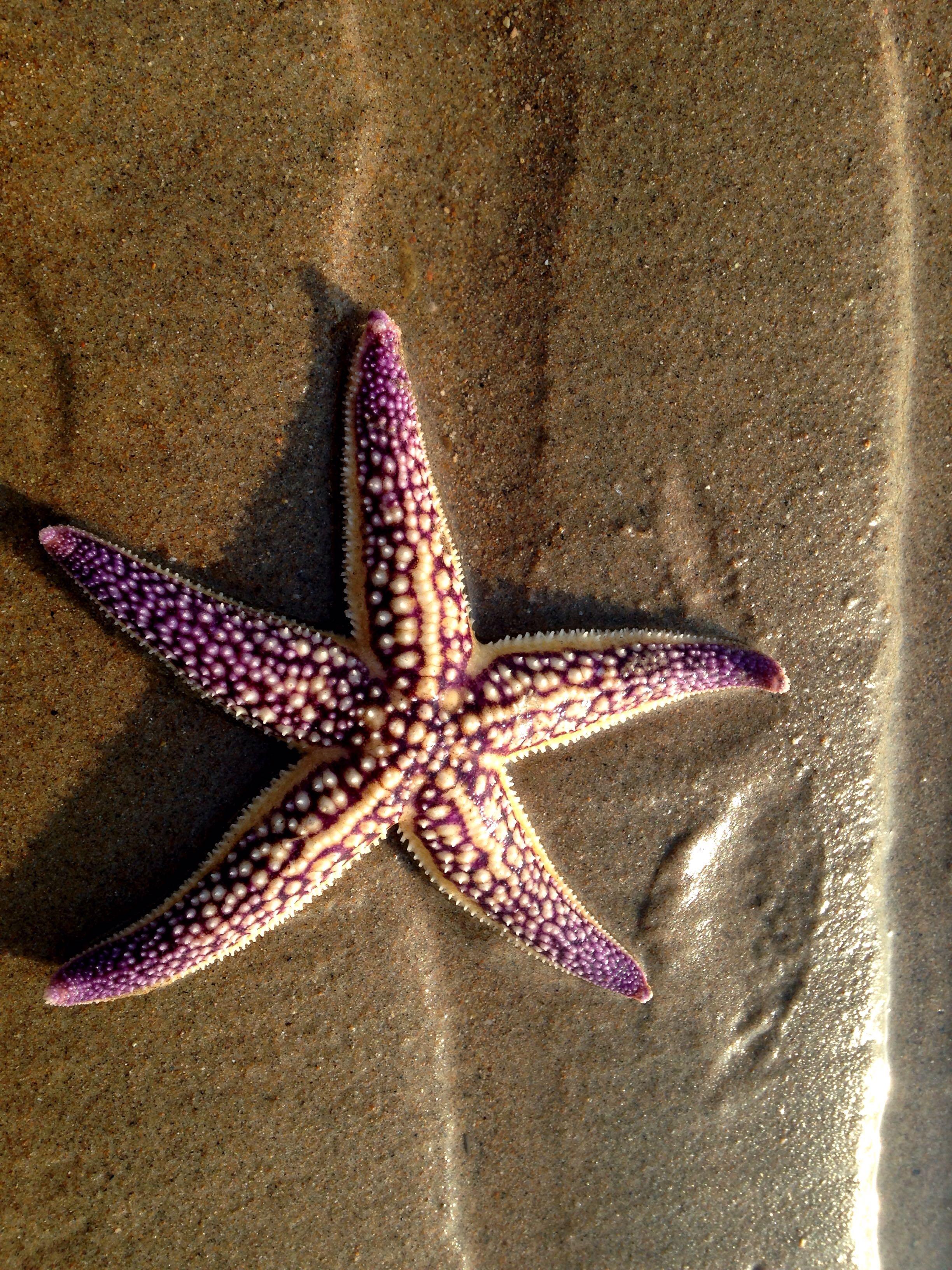 在北京上学五一假期去哪玩比较好? - 莫暄妍的