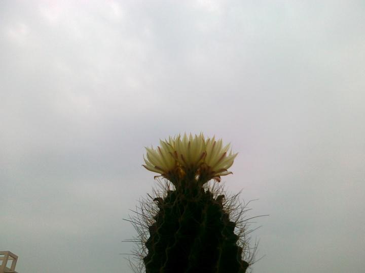 http://fmn.rrfmn.com/fmn058/xiaozhan/20111004/2205/p/m2w500hq85lt_x_large_sqQr_336300026db91213.jpg_大一学生很迷茫觉得人生浑浑噩噩的怎么调整