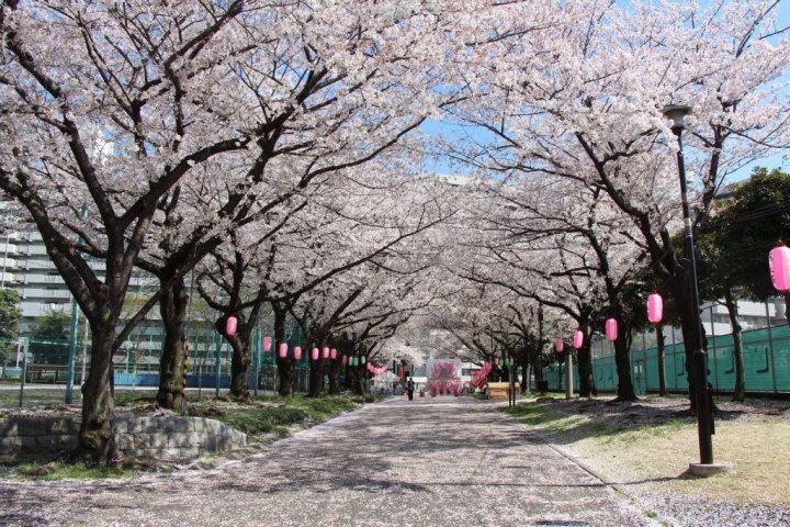 日本留学生考试的难度与范围? - Aileen 的回答