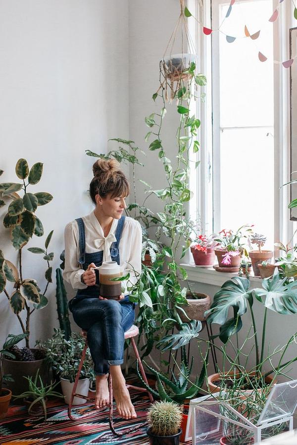 这30种外国人家常见大植物，在中国也能买到插图20