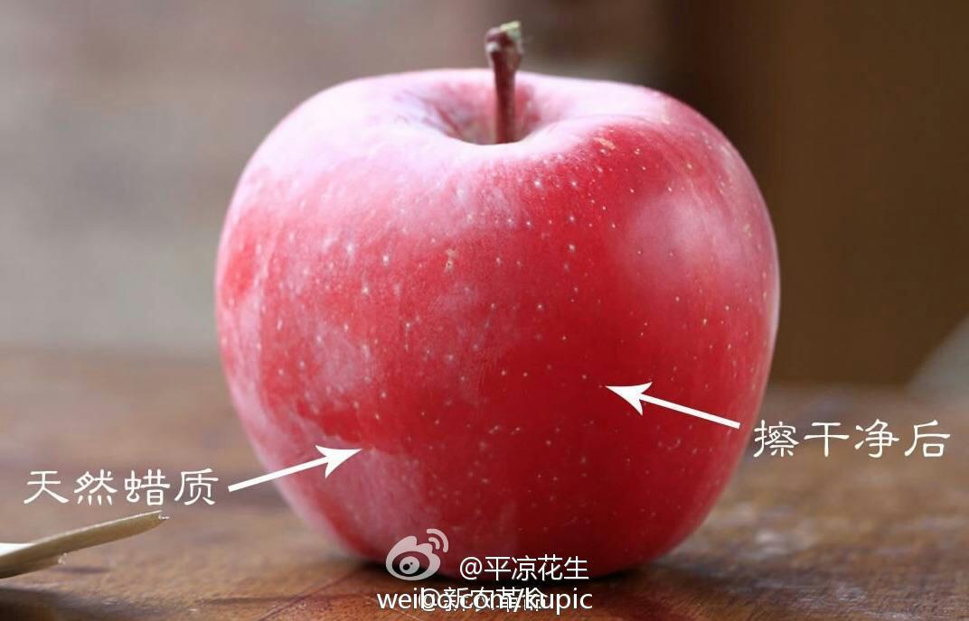 苹果为什么一年四季都有卖? - 墨离之的回答