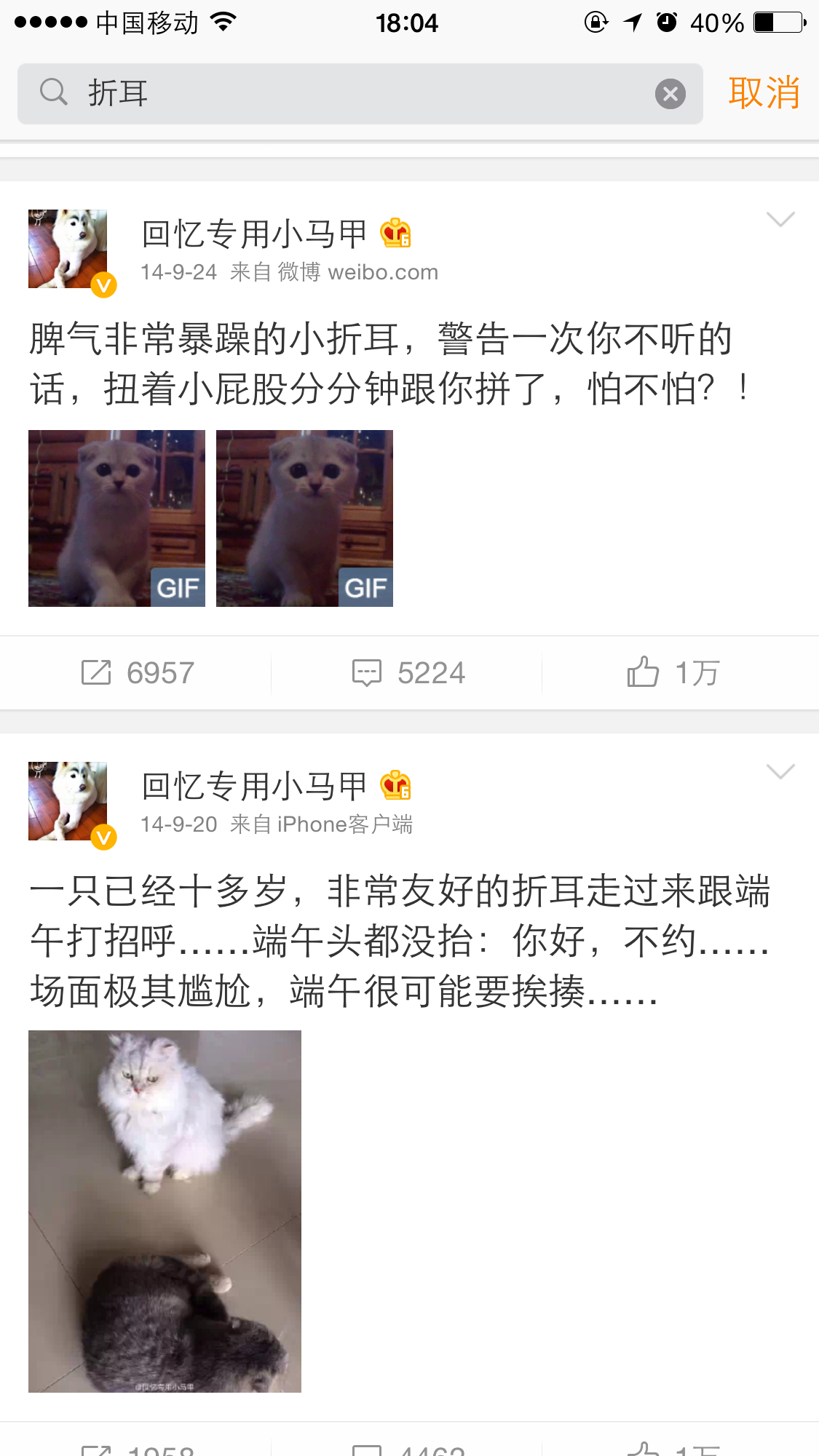 怎么看待网友们喷回忆专用小<em>马甲</em>的折耳猫<em>端午</em>