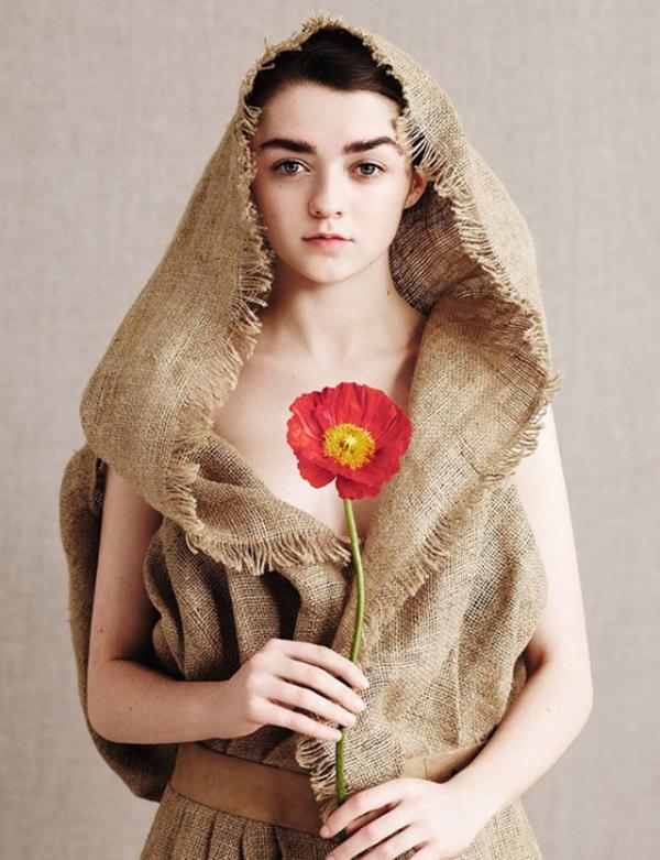 如何评价《冰与火之歌》中的艾莉亚·史塔克(arya stark)?