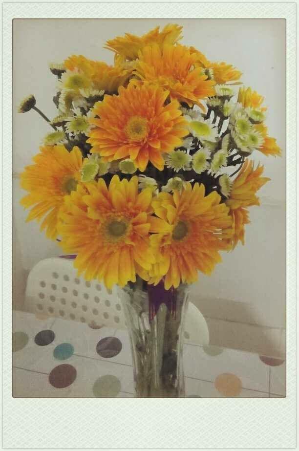 说说你毕业后的前三年怎么在北上广深活下来的