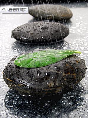 世界为什么这么乱,为什么每个人的想法这么不