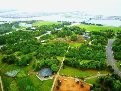 (葛西临海公园,江户川区,图片来自雅虎日本)