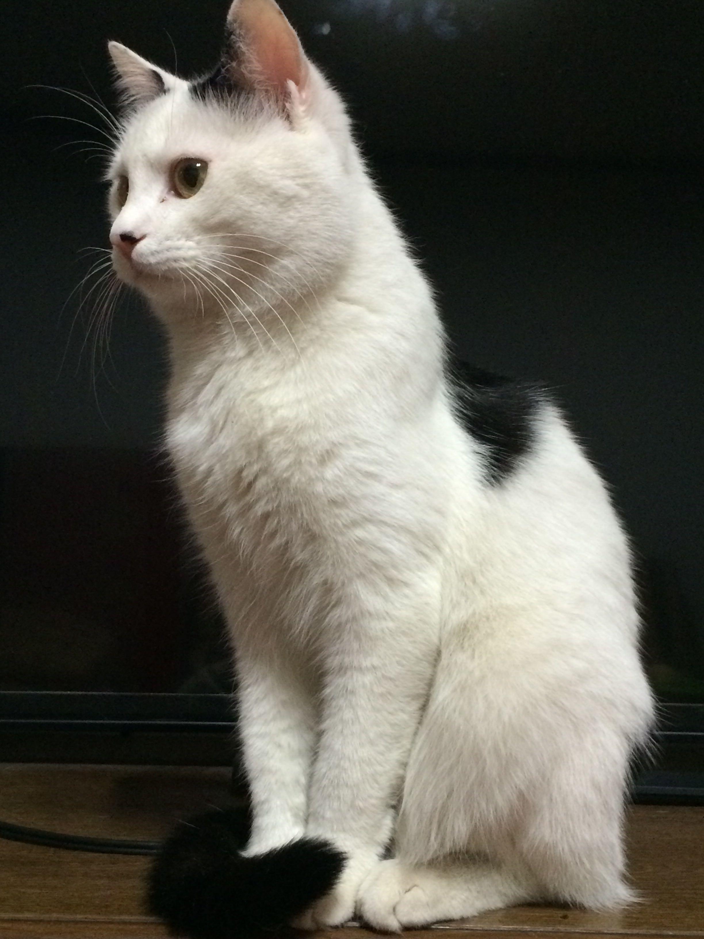 近几年,对你改变最大的事情是什么? - 普罗旺斯