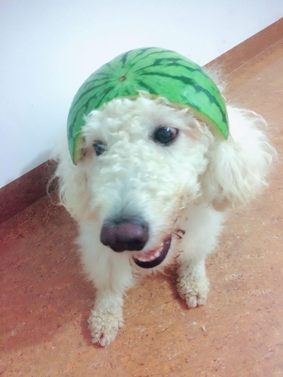 如何看待微博用户「<em>回忆专用小马甲</em>」用绳子绑