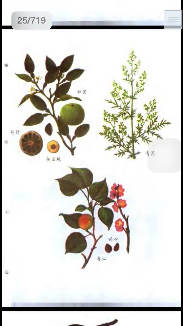 有什么入门级的中草药书籍? - 中药