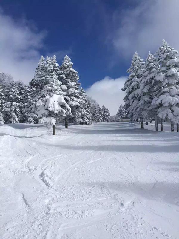 对于滑雪完全没有抵抗力,对这种白色鸦片上瘾,求大神指点原因?