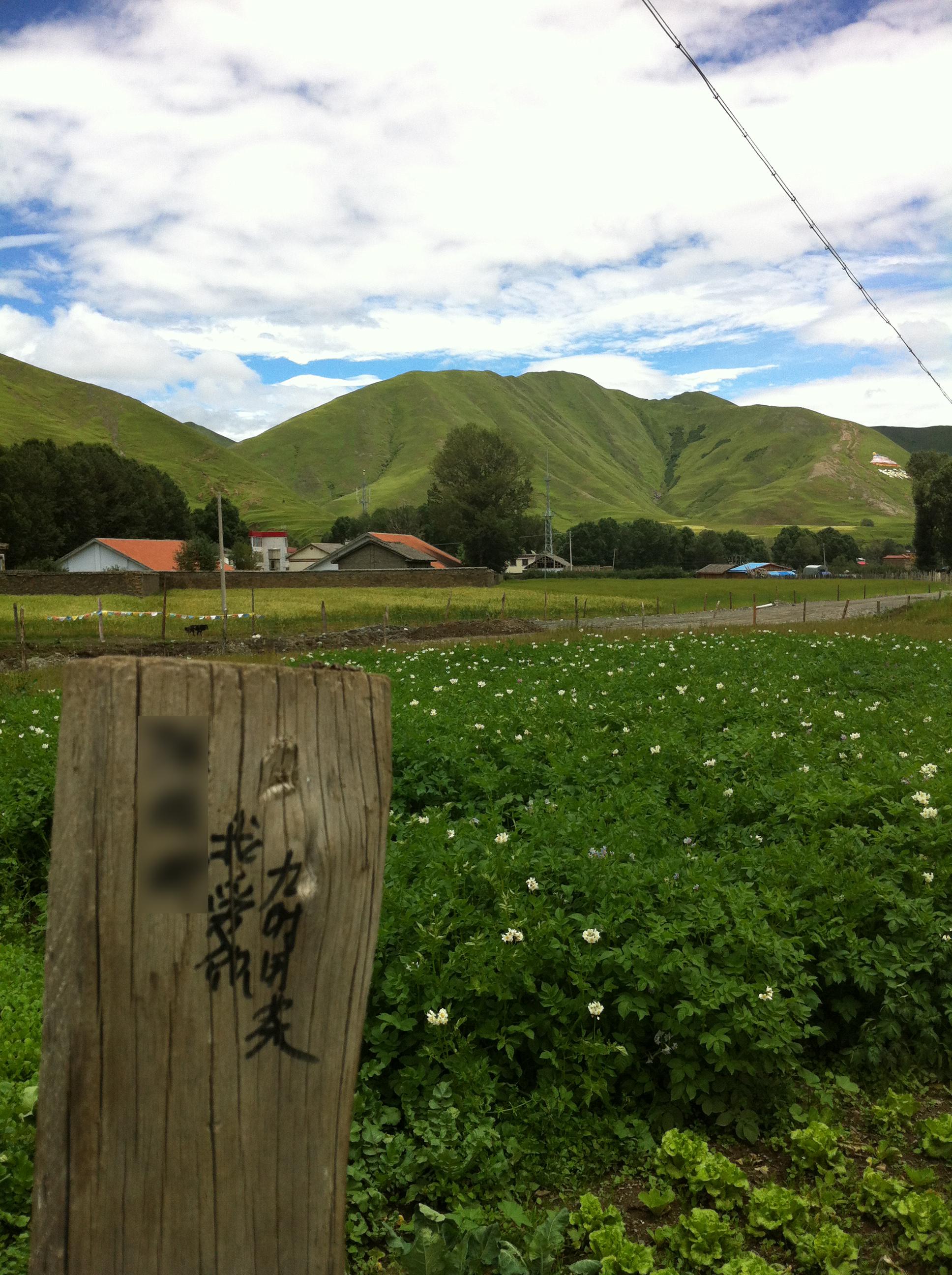 你曾经为追求一个女生做过最疯狂的事是什么?