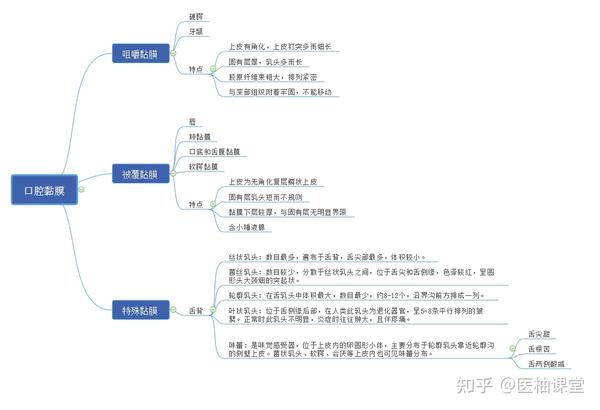 口腔医学思维导图分享