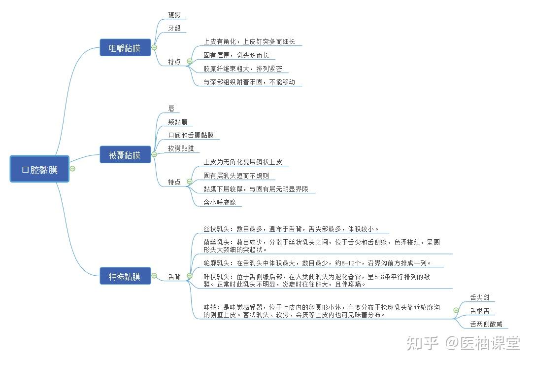 口腔医学思维导图分享