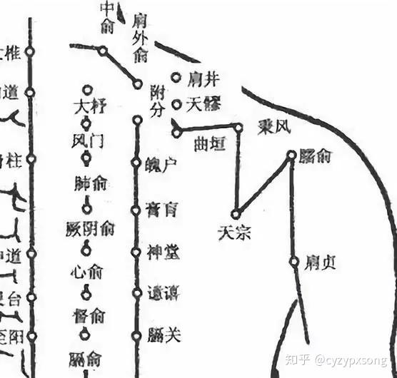 十二经脉气血流注顺序 三百六十穴位定位速记歌诀汇总