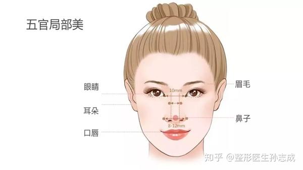 面部美学的标准赏析