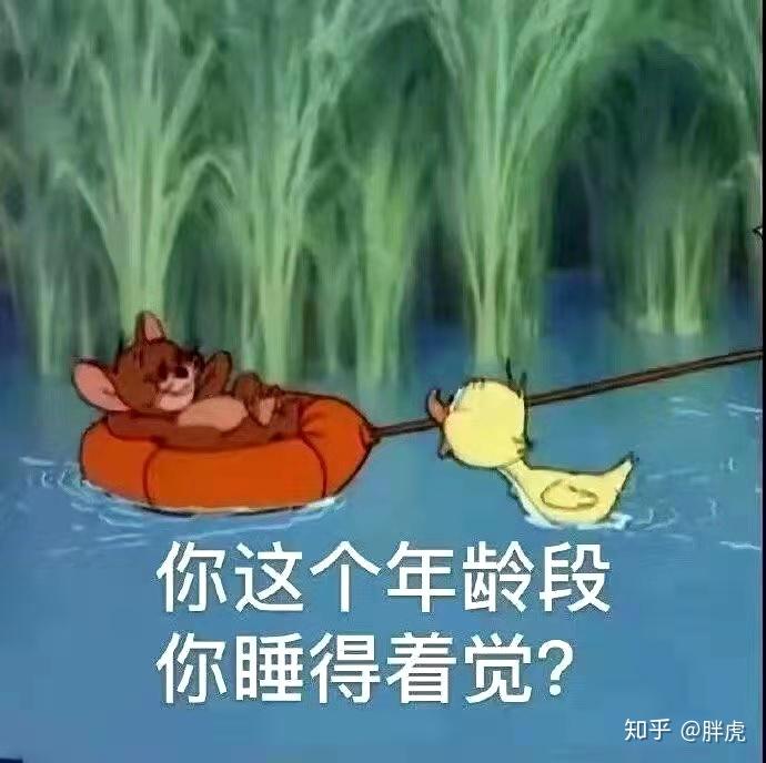 驯兽大师斯金纳