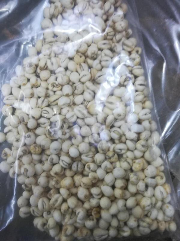 如何辨别川贝的真假?