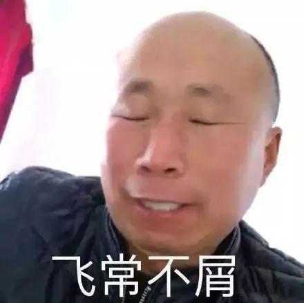 表情包高飞系列