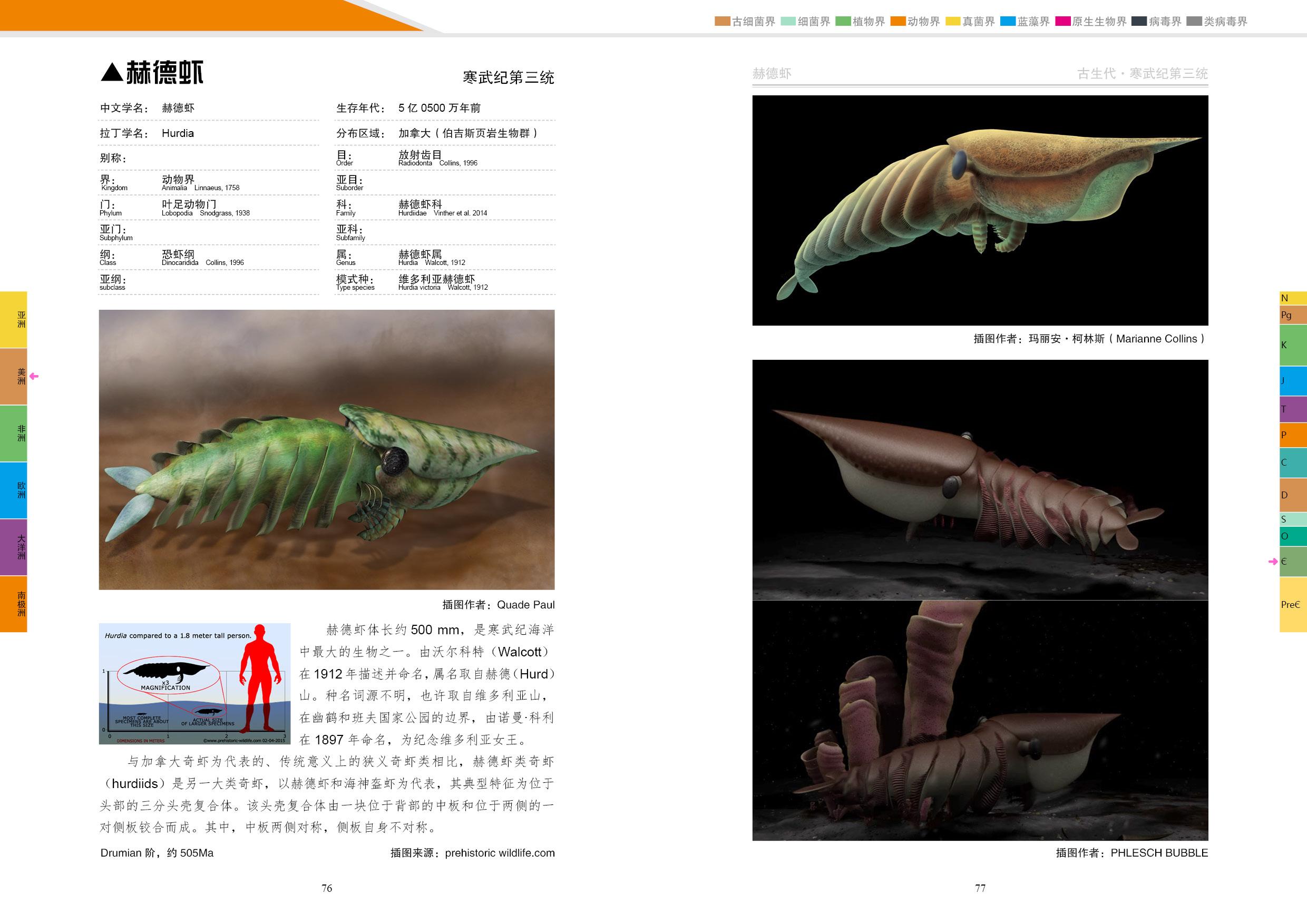 pambdelurion筛状奇虾 tamisiocaris海神盔虾 aegirocassis申德汉斯