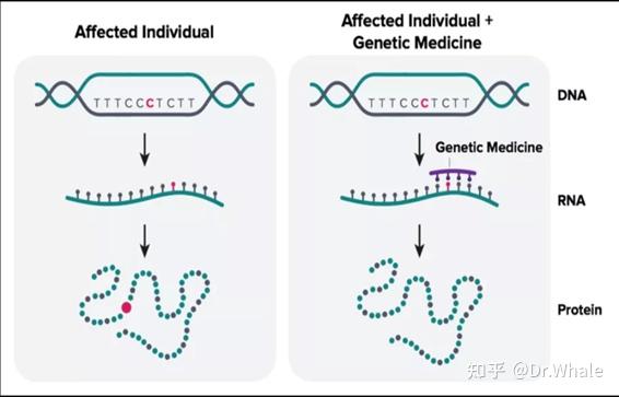 用ai编程rna!(上篇):ai制药明星初创获1.8亿美元融资