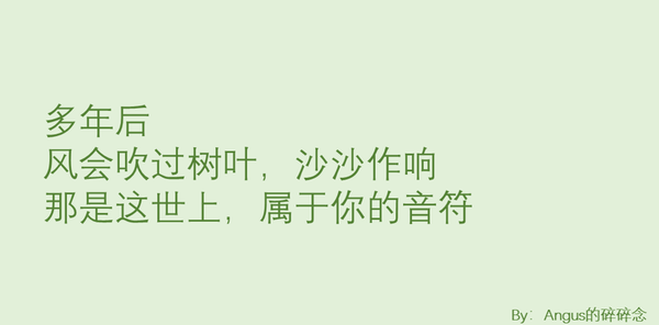 植树节文案:在风雨里,等阳光