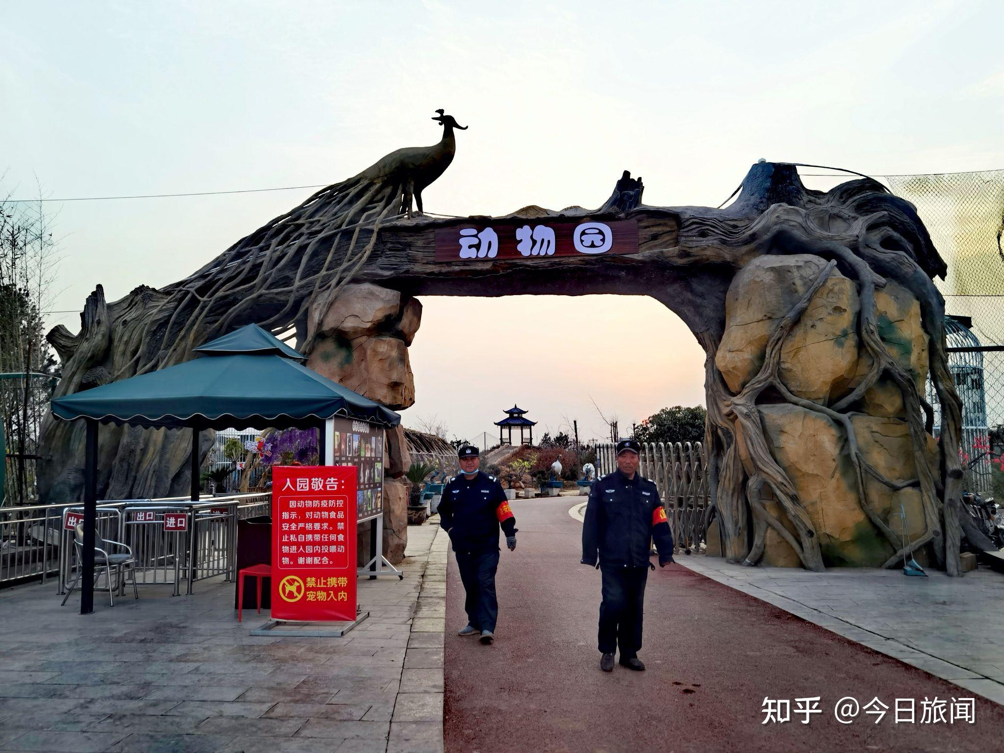 伊河湿地游园内天鹅戏水各种候鸟及动物随处可见儿童乐翻天