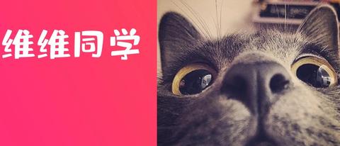有哪些沙雕朋友圈文案?
