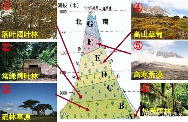 陆地自然带的"山地垂直分异",是不是和"纬度地带分异"