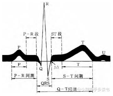 心电图各波段
