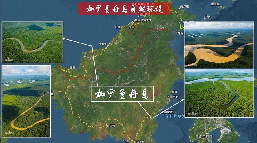 加里曼丹雨林探险,找寻臻品燕窝