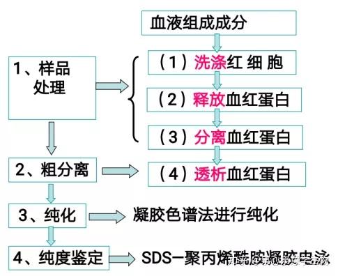 去除杂蛋白; 柠檬酸钠的作用是 防止血液凝固