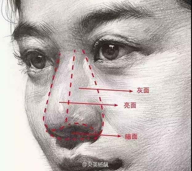 因此在表现女性素描头像时不要害怕把对象画成"男性",或者画"木"了