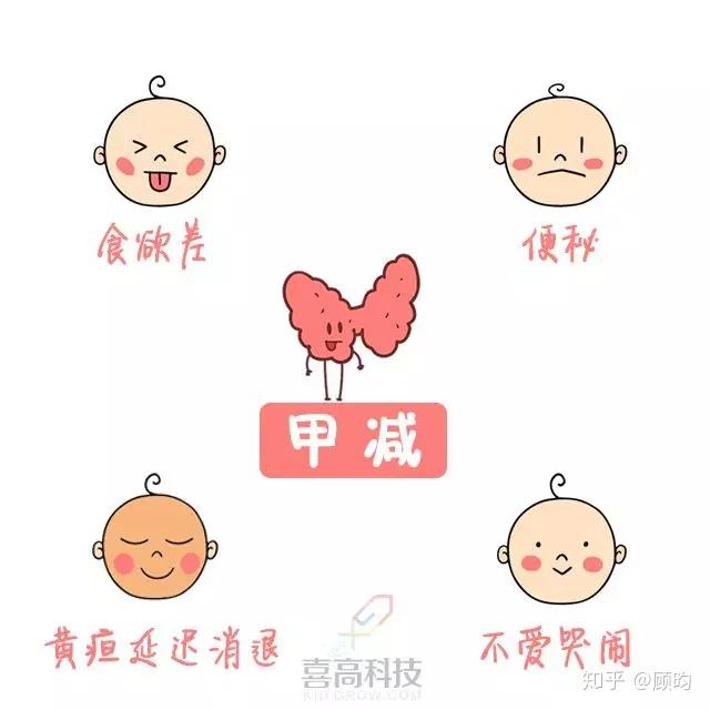 婴儿有 食欲差,便秘,不爱哭闹,黄疸延迟消退等情况,需要当心是甲减了!